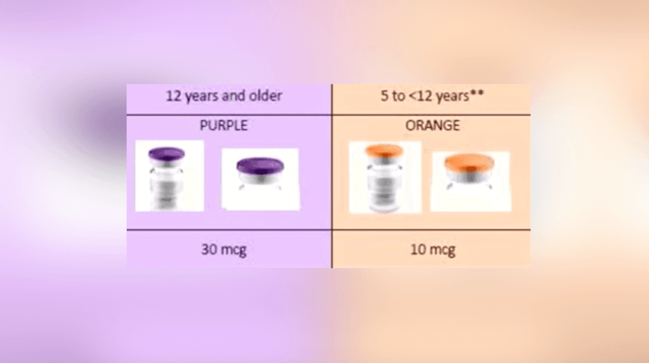 <b>10 microgramos (mcg)</b>
<br>
<b>La dosis que se le aplica a los más pequeños es de 10 mcg mientras que a los adultos es de 30 mcg. </b>El Dr. Beny Rub explica que los niños de 5 a 11 años tienen que recibir una tercera parte de la dosis que se aplica a los adultos.
<br>