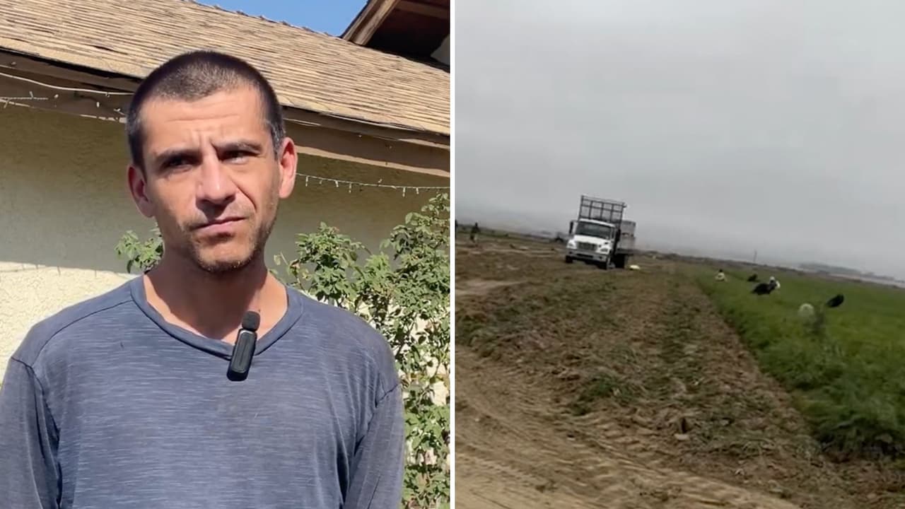 Por su parte, Ernesto Pérez, compañero de trabajo de la víctima, dijo que el camión le había pasado una y otra vez por encima y nadie hizo nada. “Demostraron ese día que no somos nada para ellos, estaba la señora allí y siguieron trabajando como a 10 o 15 pies de ahí”, contó.