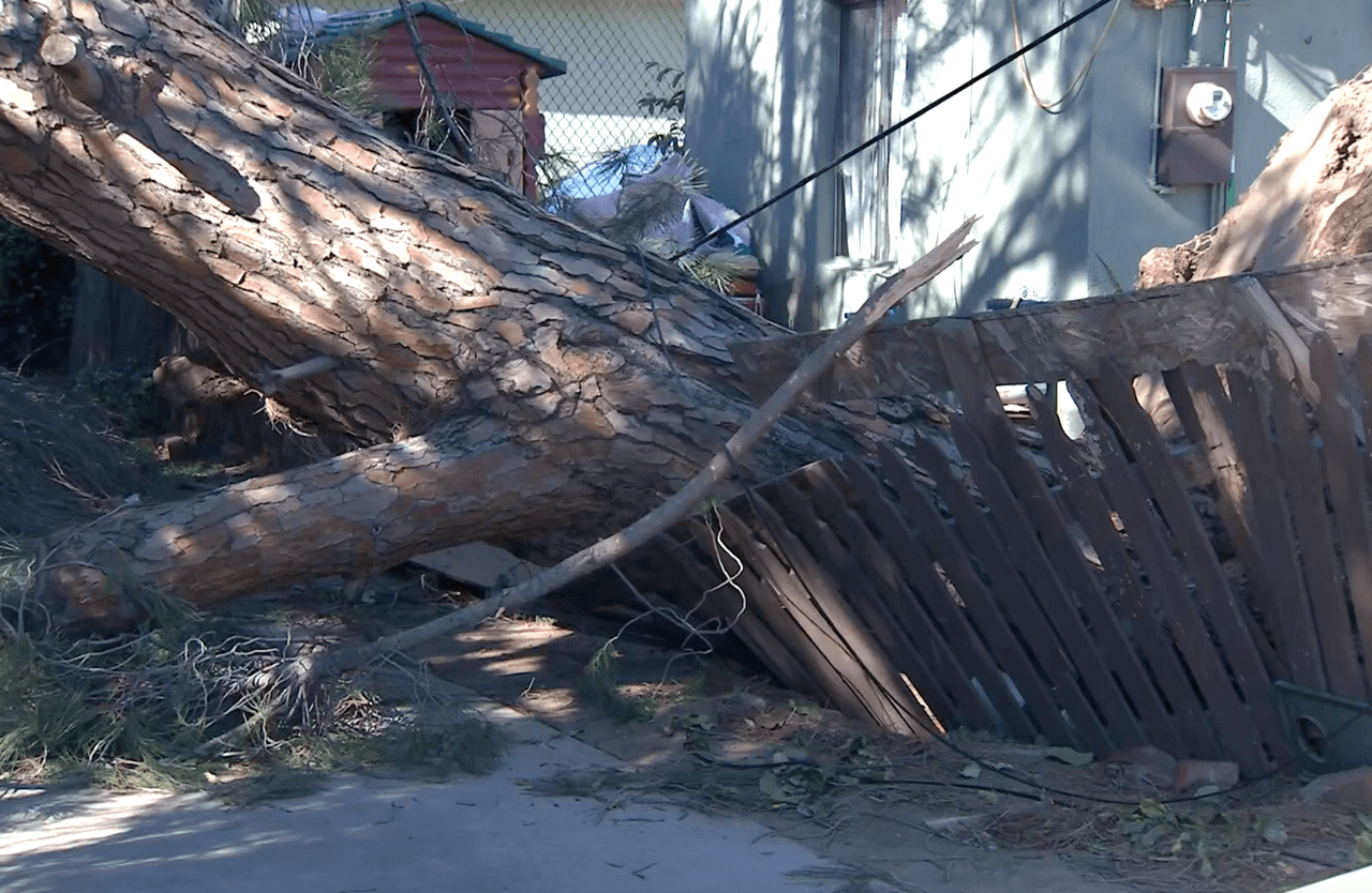 La compañía de electricidad, Southern California Edison (SCR) reportó 107 apagones en el condado de Los Ángeles este domingo.
<br>