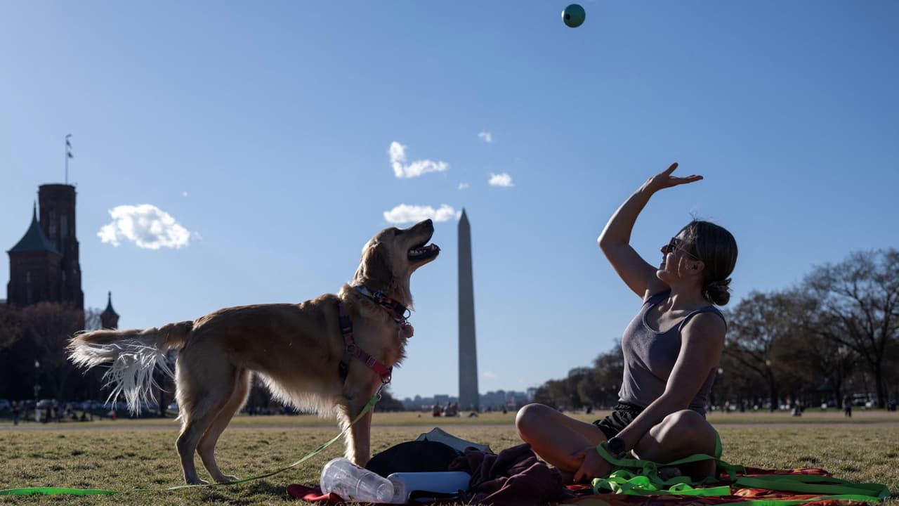 El área de Washington DC experimentó un récord de alta temperatura para esta fecha con una máxima de 81°F, respecto a los 78°F del 23 de febrero de 1874. El calor sentido este jueves, digno de un día de verano, hizo olvidar a los residentes de la capital del frío invernal de las últimas semanas y además aprovecharon para comprar helados, salir de paseo, hacer picnics en el National Mall.