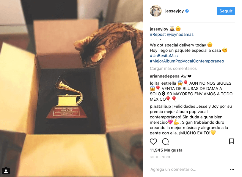 Y con un gatito curioso.