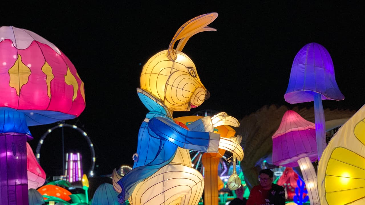 Recorre un viaje encantado donde encontrarás más de 100 juegos de luces en ocho secciones temáticas únicas.