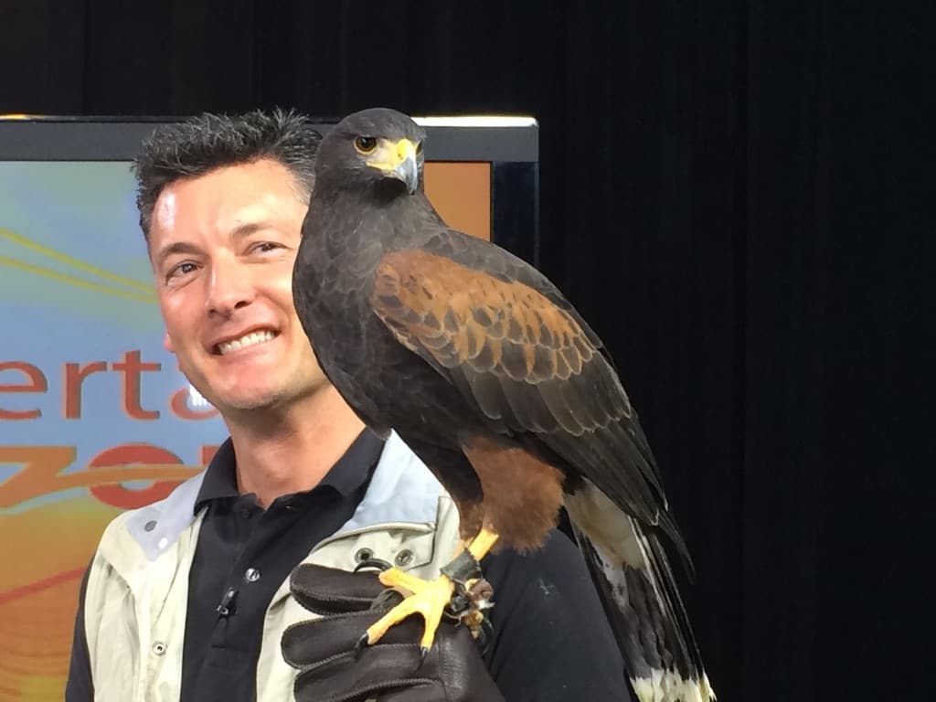 Vino desde San Diego para mostrarnos estas hermosas especies.