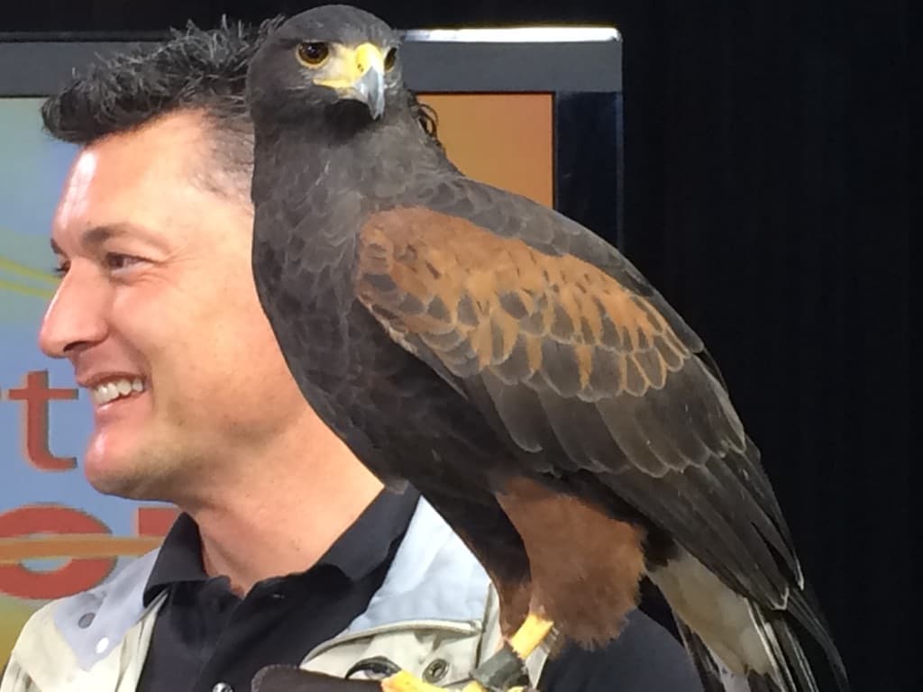 Rick, quien trabaja con el zoológico, es todo un experto con los animales.