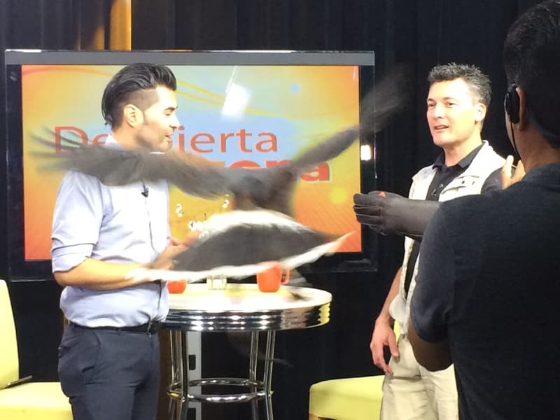 Recientemente estuvo en Africa para ver el comportamiento de varias especies en peligro.