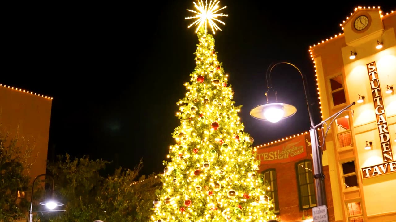 🎄
<b> Evento oficial de iluminación del árbol de Navidad en Galveston</b>
<br>🗓️ Sábado 25 de noviembre
<br>🕒 6 pm
<br>📍 Cruce de las calles Strand y 23 | Saengerfest Park
<br>Evento gratuito