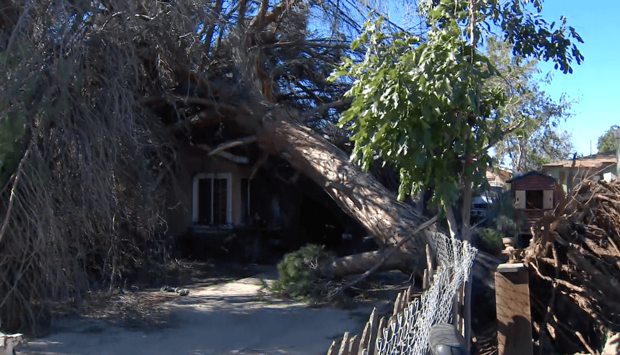Varias ciudades en el sur de California sufrieron los embates de los vientos con fuerza de huracán que durante el viernes y sábado causaron destrozos en casas, carros, calles y hasta parques en la región.