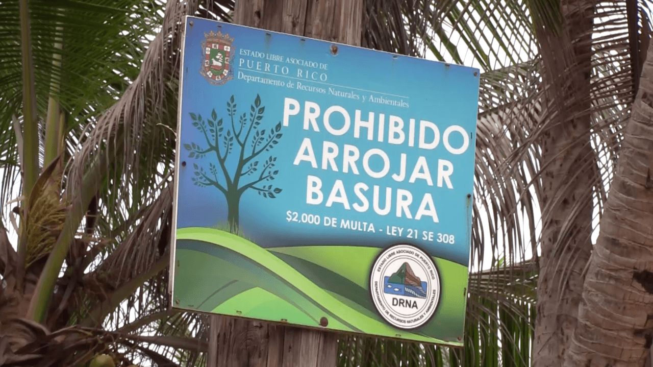 <a href="https://www.facebook.com/conservacioncostera/posts/789099588504012" target="_blank">Conservación Costera Inc</a> solicita voluntarios para el sábado 29 de agosto a las 10:00 am.