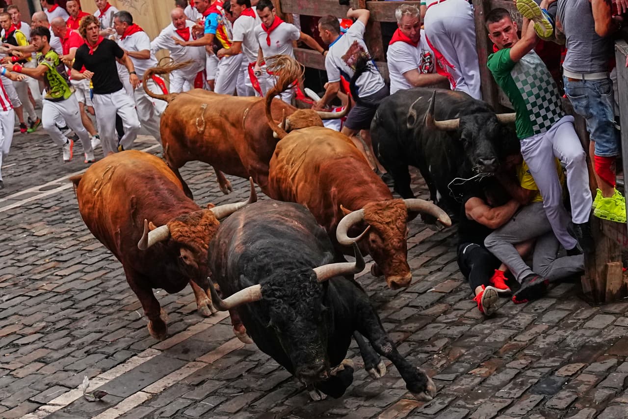Los enormes animales derribaron cuerpos sobre los adoquines, y los corredores que tropezaban provocaron varios choques durante los dos minutos y medio que duró la carrera desde el corral hasta la plaza de toros, donde los toreros sacrificarían a los toros más tarde ese mismo día.