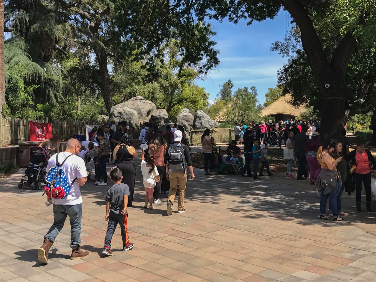 El show de aves fue uno de los favoritos durante el Festival de los Niños 2017