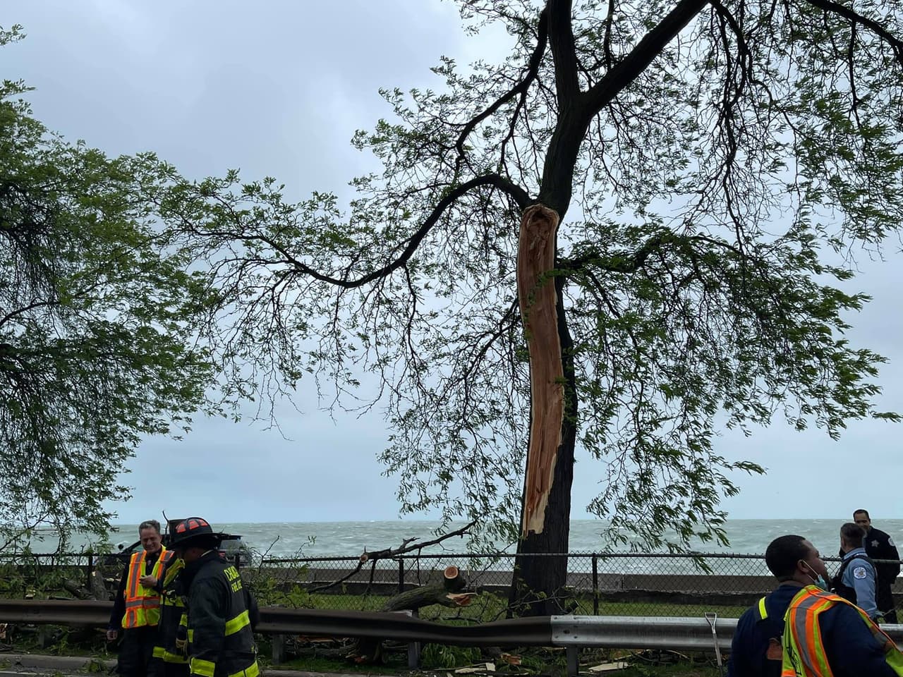 Por lo que se puede apreciar en las imágenes y videos distribuidos por el
<b><a href="https://twitter.com/CFDMedia?ref_src=twsrc%5Etfw%7Ctwcamp%5Etweetembed%7Ctwterm%5E1398357878176731138%7Ctwgr%5E%7Ctwcon%5Es1_&ref_url=https%3A%2F%2Fchicago.cbslocal.com%2F2021%2F05%2F28%2Ffallen-tree-lake-shore-drive-division-street-traffic-blocked%2F" target="_blank">Departamento de Bomberos en su red social de Twitter</a></b>, cuatro carriles fueron obstruidos.