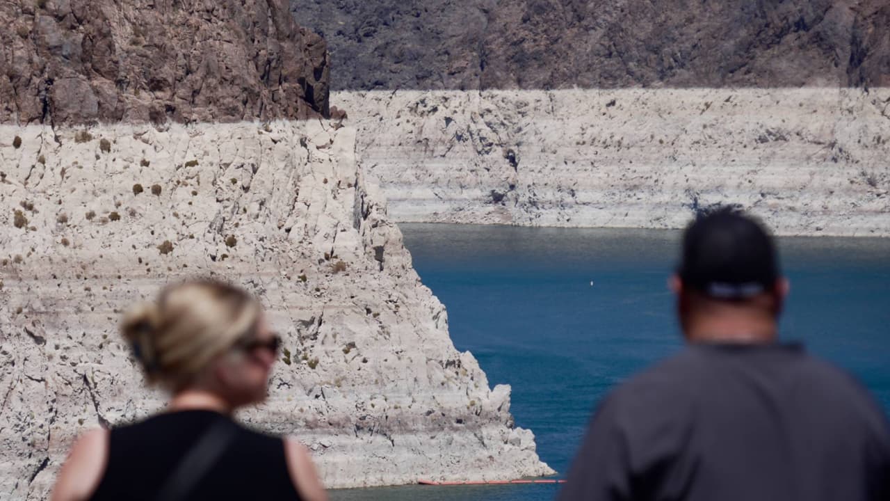 Una mandíbula: Investigan el hallazgo de posibles restos humanos en el lago Mead