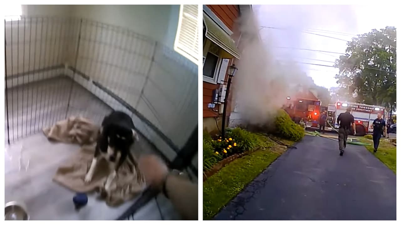 Mujer policía termina en coma inducido por rescatar a un perro de un incendio en Nueva Jersey