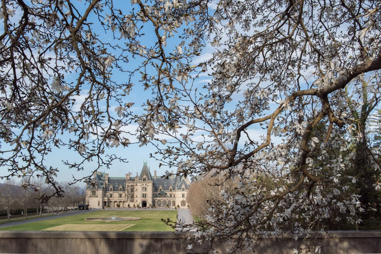 Conoce más sobre Biltmore State,
<b><a href="https://www.biltmore.com/blog/10-fast-facts-about-biltmore/#:~:text=Biltmore%20House%20was%20designed%20by,43%20bathrooms%2C%20and%2065%20fireplaces.">aquí</a></b>.