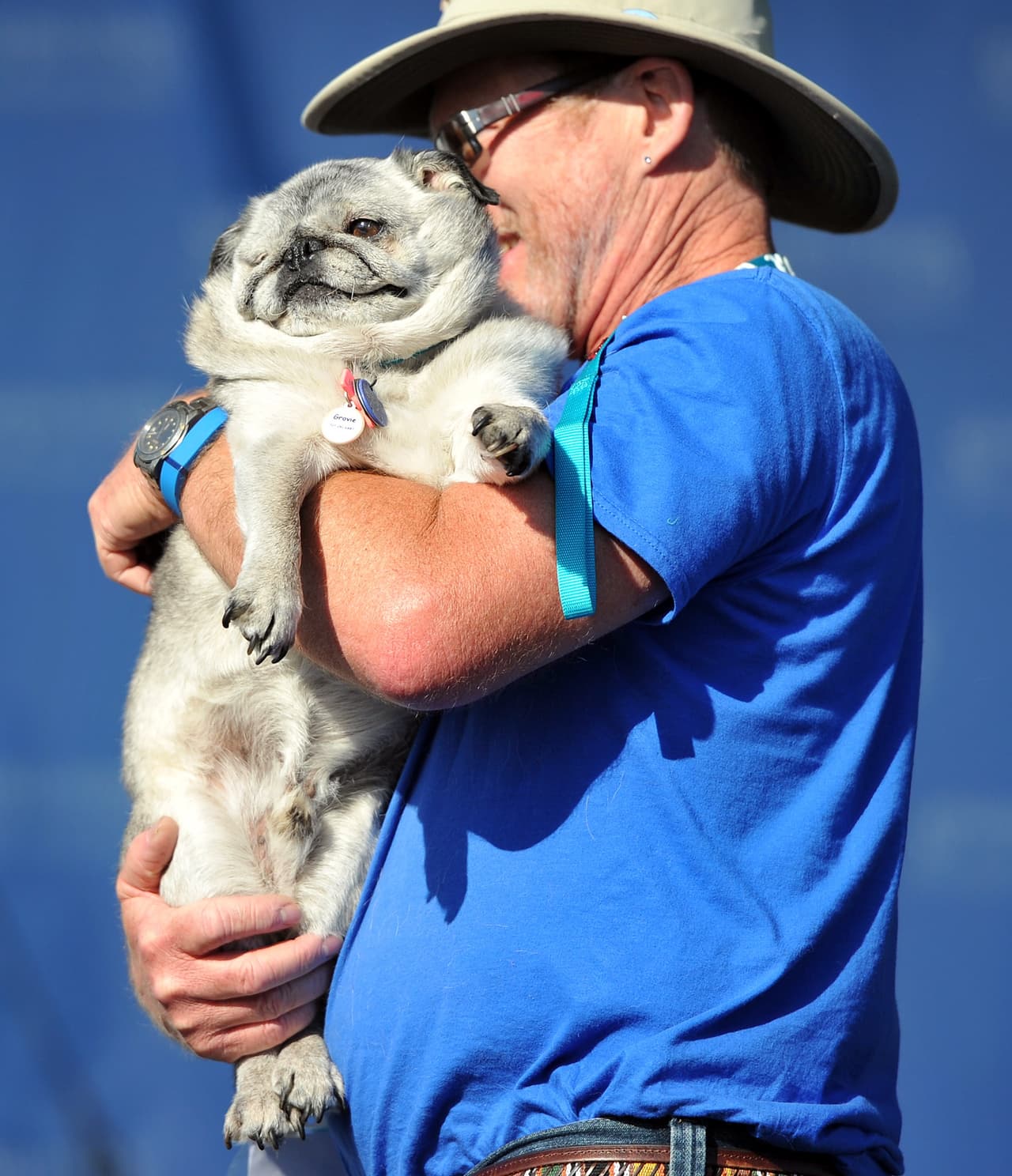 Grove intentó convertirse en el Perro más Feo del Mundo, pero no lo logró porque su carita es tierna.