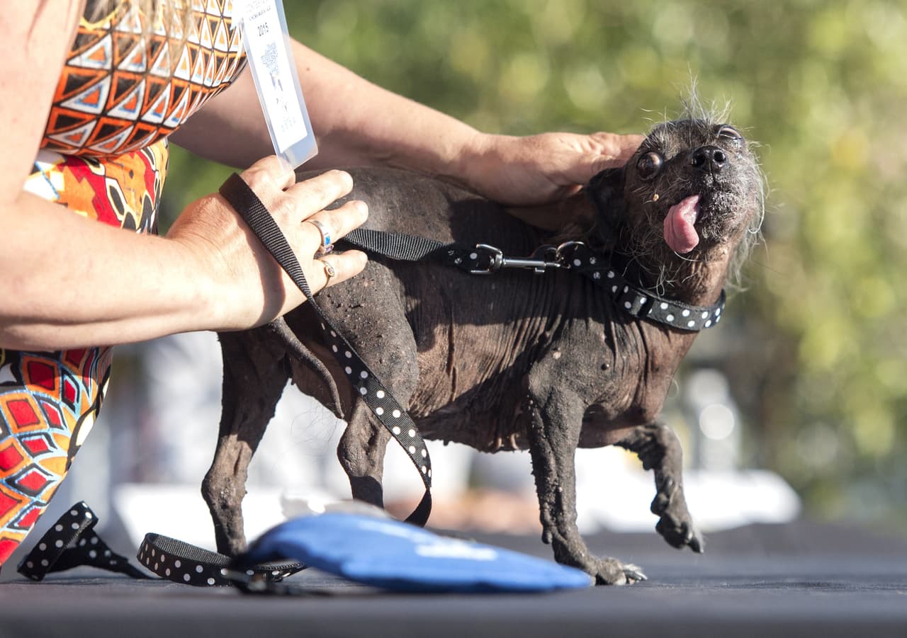 ¡A sacar la lengua y hacer caras graciosas para llamar la atención!