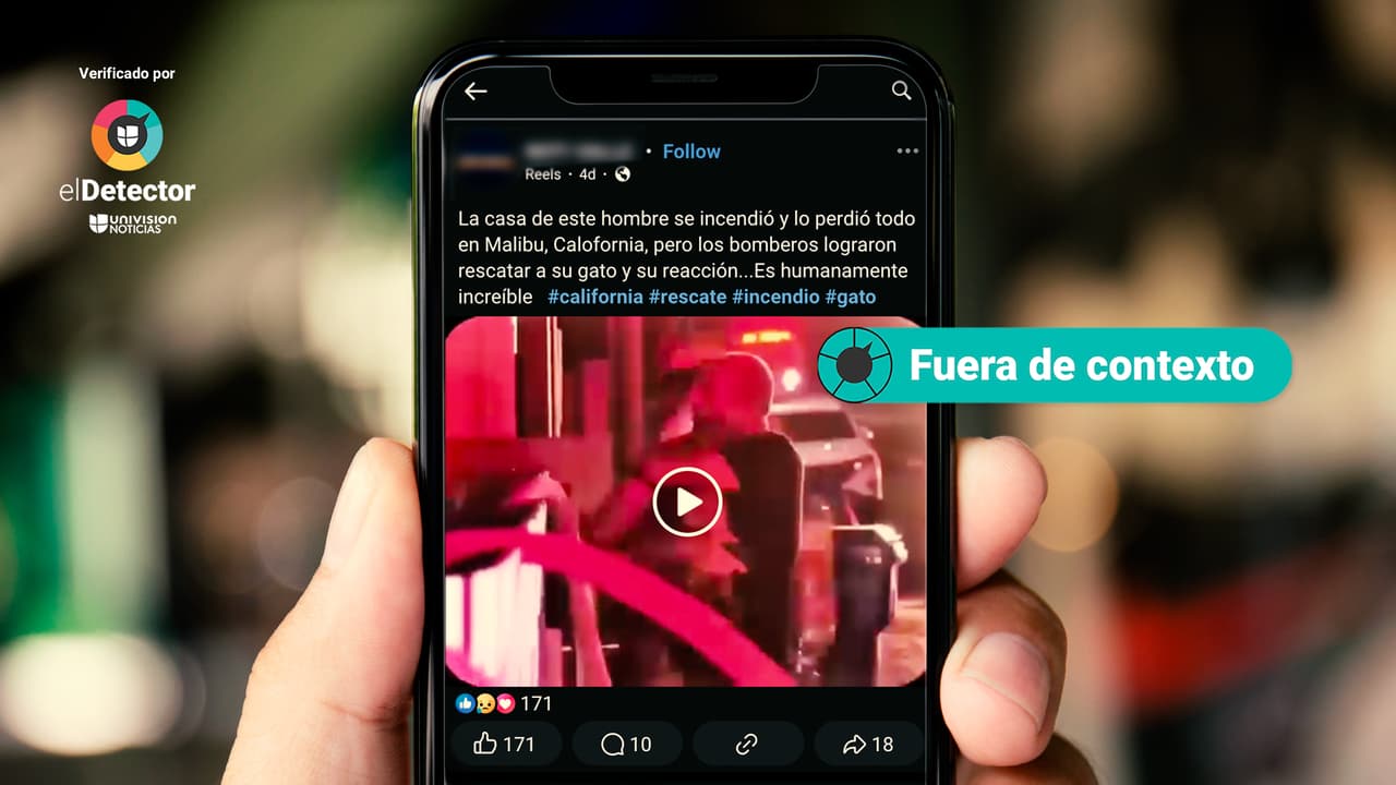 Ese video no muestra el rescate de un gato ocurrido en los recientes incendios en California: está fuera de contexto