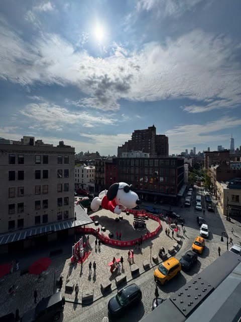 El diseño muestra a Snoopy como
<i>Joe Cool</i>, vistiendo un suéter rojo y unas enormes gafas de sol, mientras lleva a Woodstock bajo el brazo, inspirado en su versión más relajada.