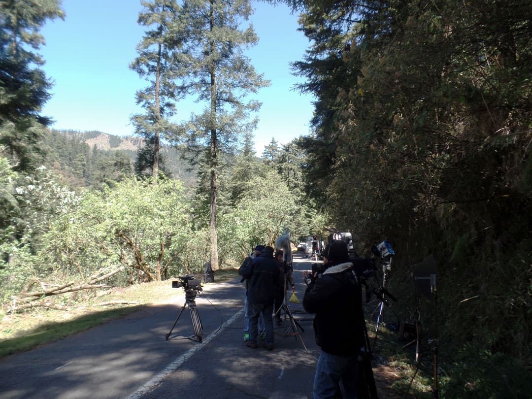 El bosque de Los Dinamos en la Ciudad de México fue el lugar en donde se grabó esta maquiavélica escena.
