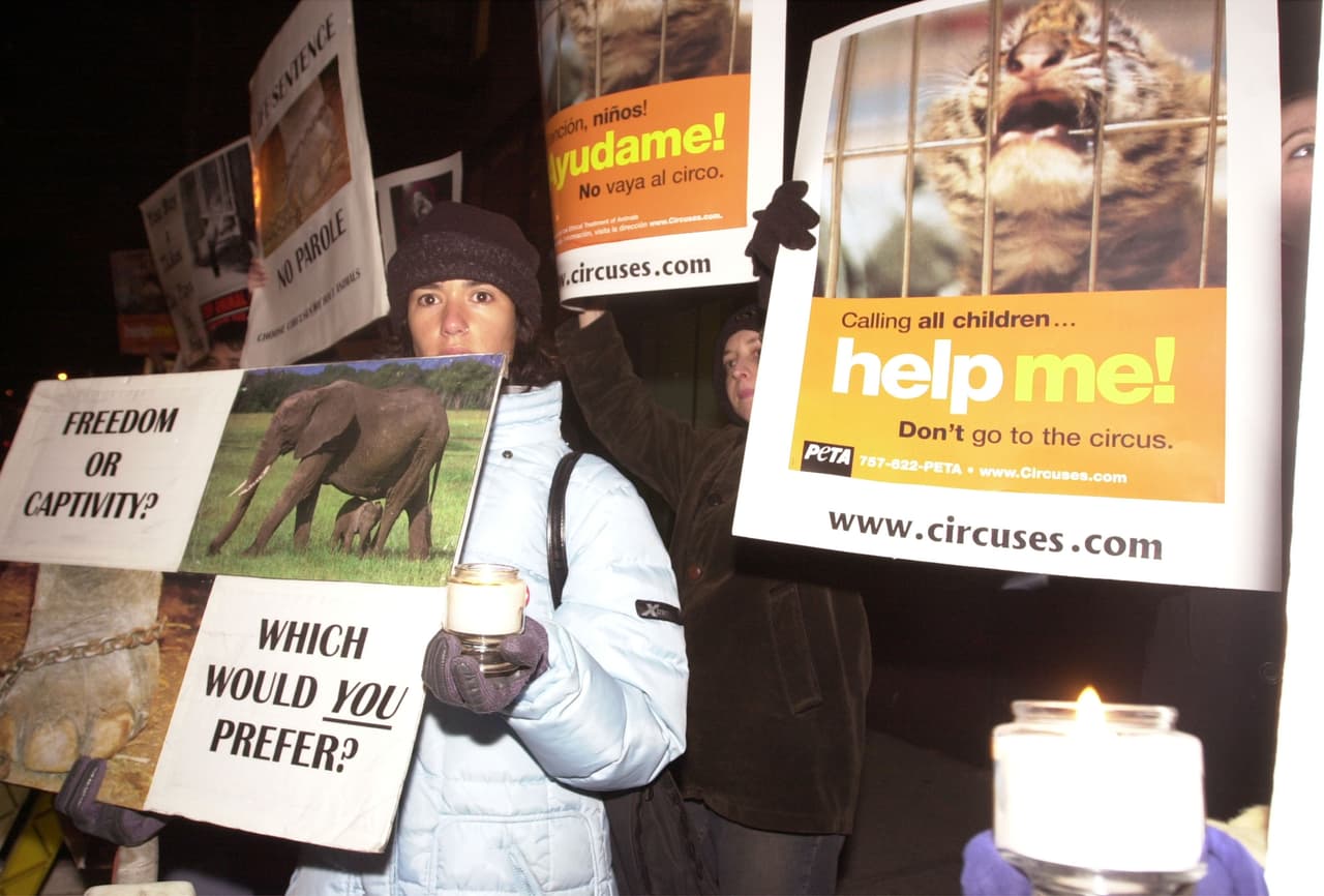 En varias ocasiones ha sido recibido en las ciudades a las que llega con protestas de los activistas que protegen a los animales.