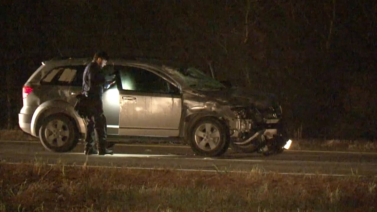 Un jinete y su caballo murieron tras choque con el auto de una familia que venía del hospital con un recién nacido