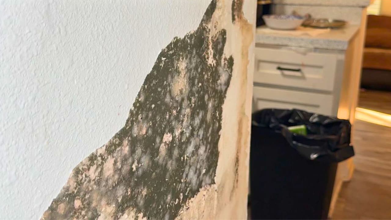 En un complejo de apartamentos en Dallas,
<b>varios inquilinos han expresado su desesperación ante las pésimas condiciones de sus viviendas</b>. Viviendo entre
<b>la humedad, el deterioro y la falta de reparaciones</b>, los residentes han denunciado la falta de acción por parte de la administración, mientras
<b>algunos enfrentan situaciones potencialmente peligrosas.</b>