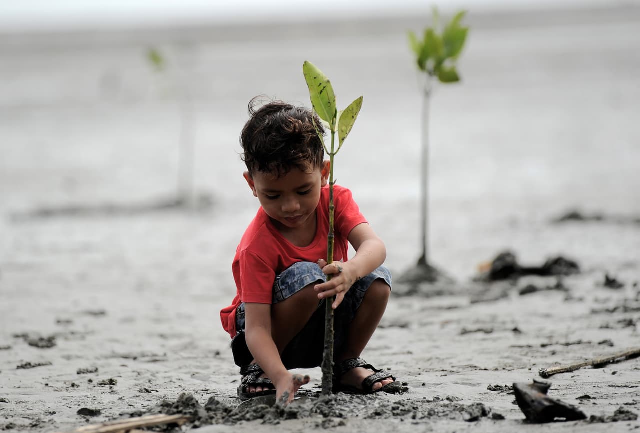 <b>Indonesia</b>. Un niño planta un árbol de mangle en la playa de Ujong, para conmemorar el día de la tierra. Provincia de Aceh, 22 de abril de 2017.
<br>