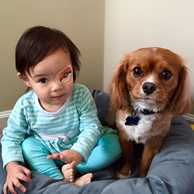 Tanta ternura en una sola fotografía: Layla es muy linda y adora la cámara. No cabe duda de que este papá se debería llevar un premio por su manera tan divertida de mejorar la experiencia de su pequeña hija.