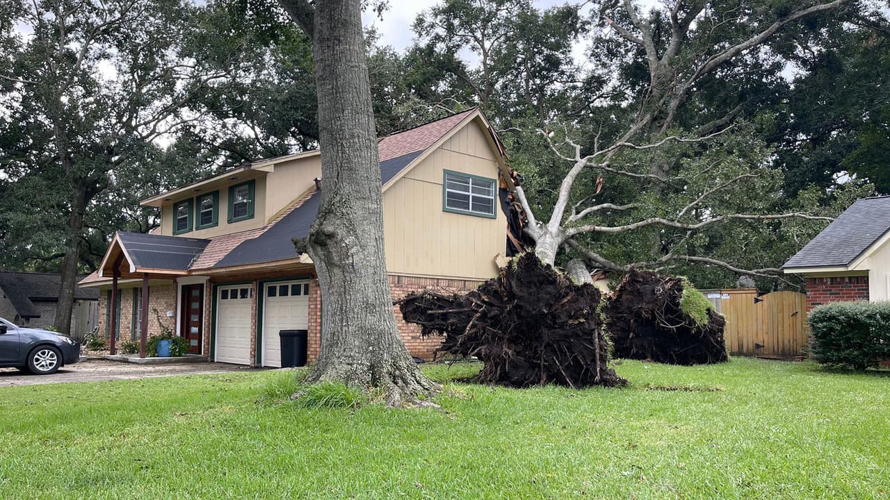 Dos árboles cayeron sobre la casa de una familia de cuatro integrantes.