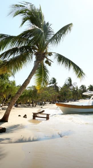 "Arena más suave, marea más fuerte, cerveza más fría, mariscos que vienen con pulseras artesanales y hasta masaje, así son nuestras playas", describió el chef de Despierta América.