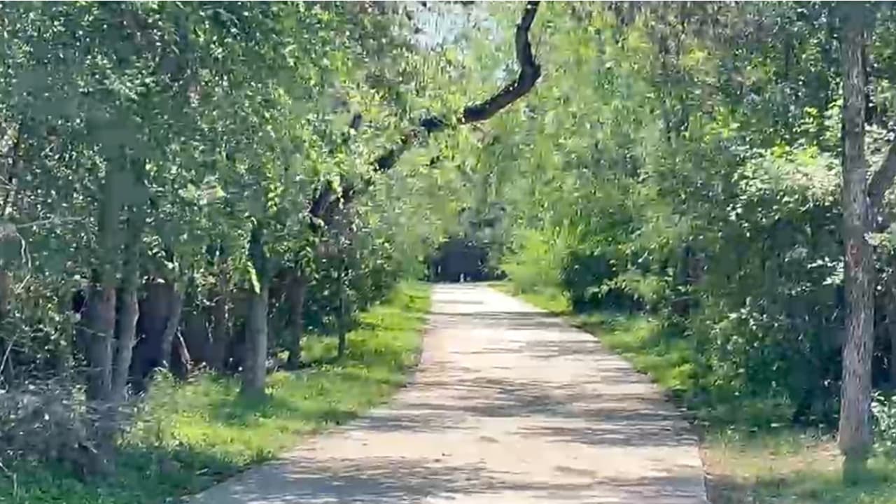 Sin ropa y sin saber cómo llegó ahí, mujer despierta en un parque del norte de San Antonio; denuncia posible abuso sexual