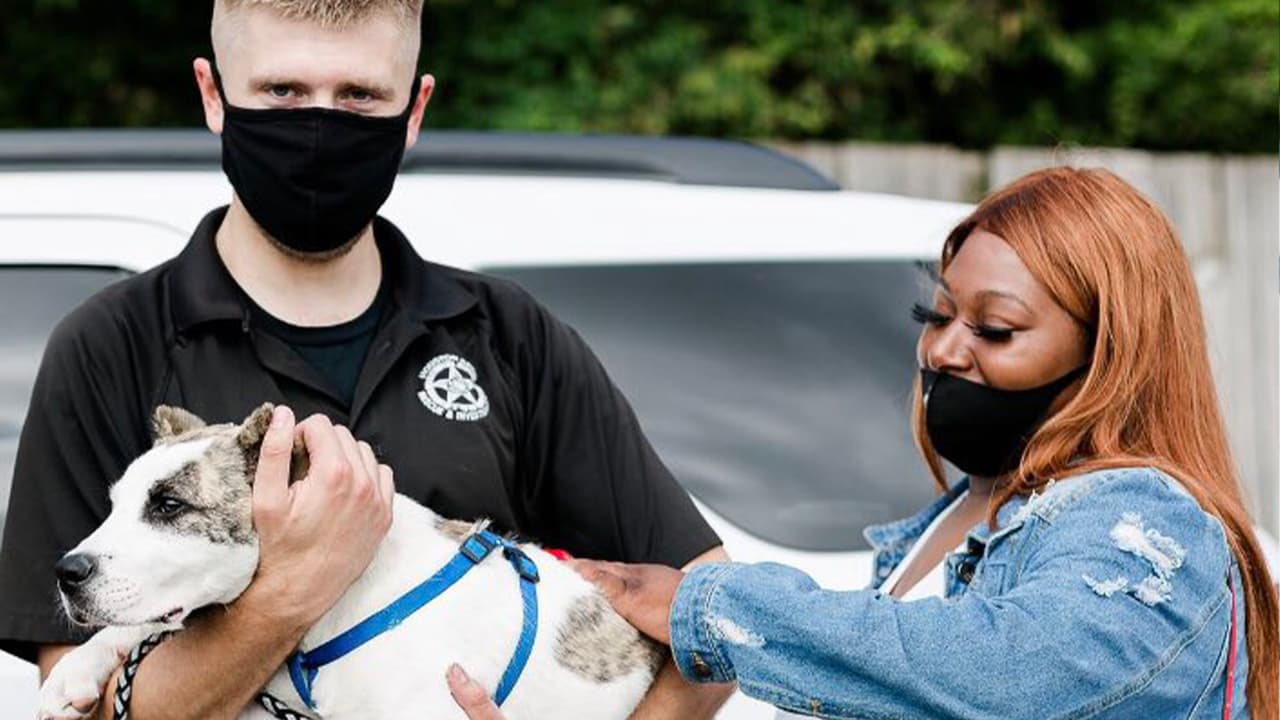 A través de
<a href="https://twitter.com/HoustonSPCA/status/1316803499351515138" target="_blank">Twitter</a> se informó que una mujer había hallado al perro y que sería llevado a la sede de SPCA.