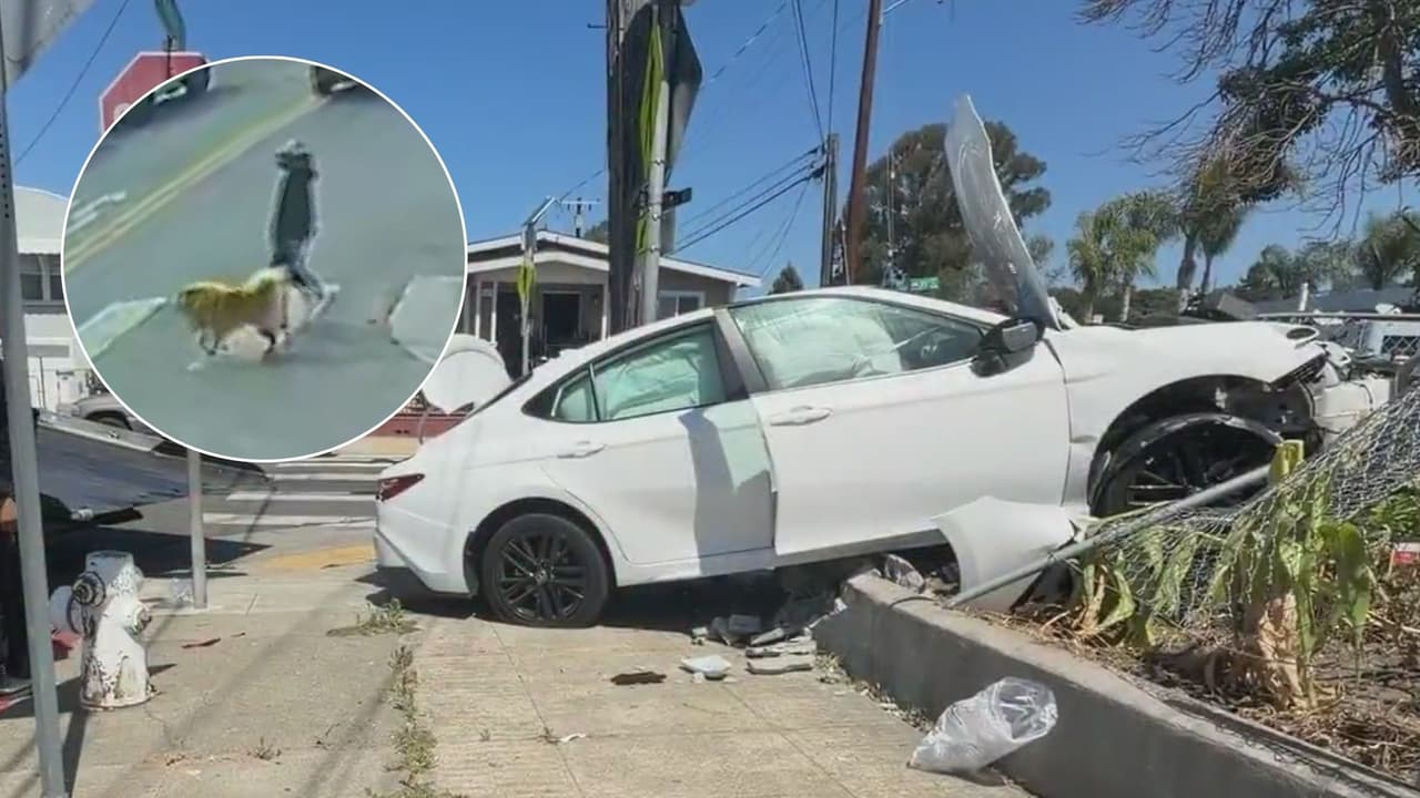 Un niño de 7 años y su hermano de 4 roban el auto de sus padres y atropellan a una mujer que paseaba a su perro en Oakland