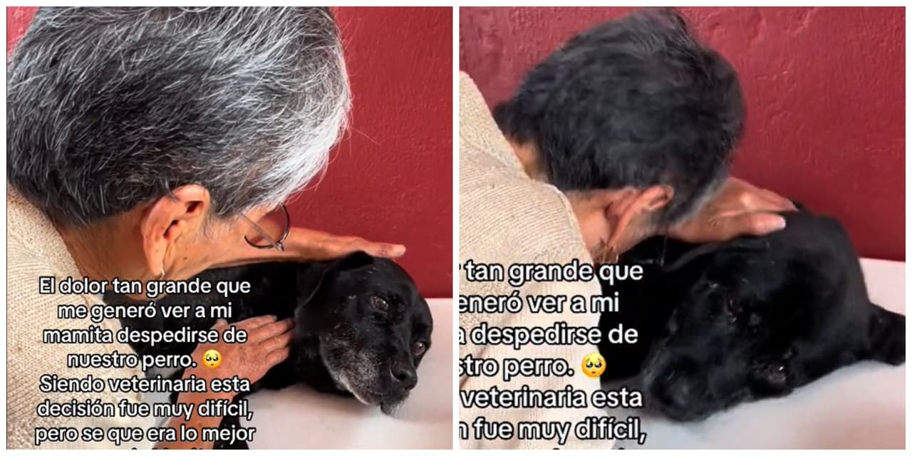 Abuelita dedica conmovedoras últimas palabras a su perrito antes de que muera: "Eres familia"