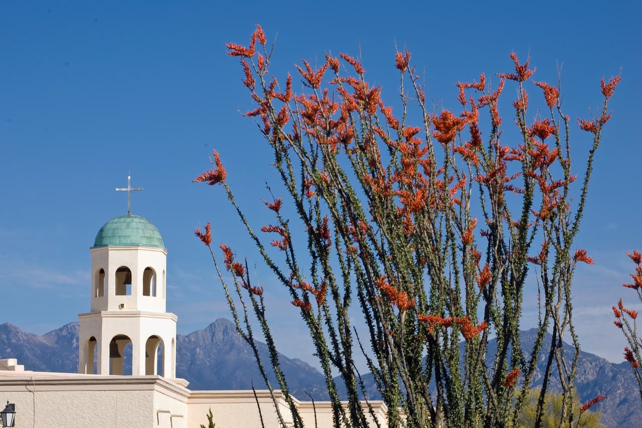 <h3 class="cms-H3-H3">18. Green Valley, Arizona</h3>
<br>
<br>📖
<b>Media de edad:</b> 72.9 años.
<br>
<br>📖
<b>Población que asiste a la universidad: </b>0.8%
<br>
<br>📖
<b>Población menor de 18 años: </b>1.1%
<br>
<br>📖
<b>Población mayor de 65 años:</b> 79.2%
<br>
<br>📖
<b>Población: </b>20,857 habitantes.
<br>