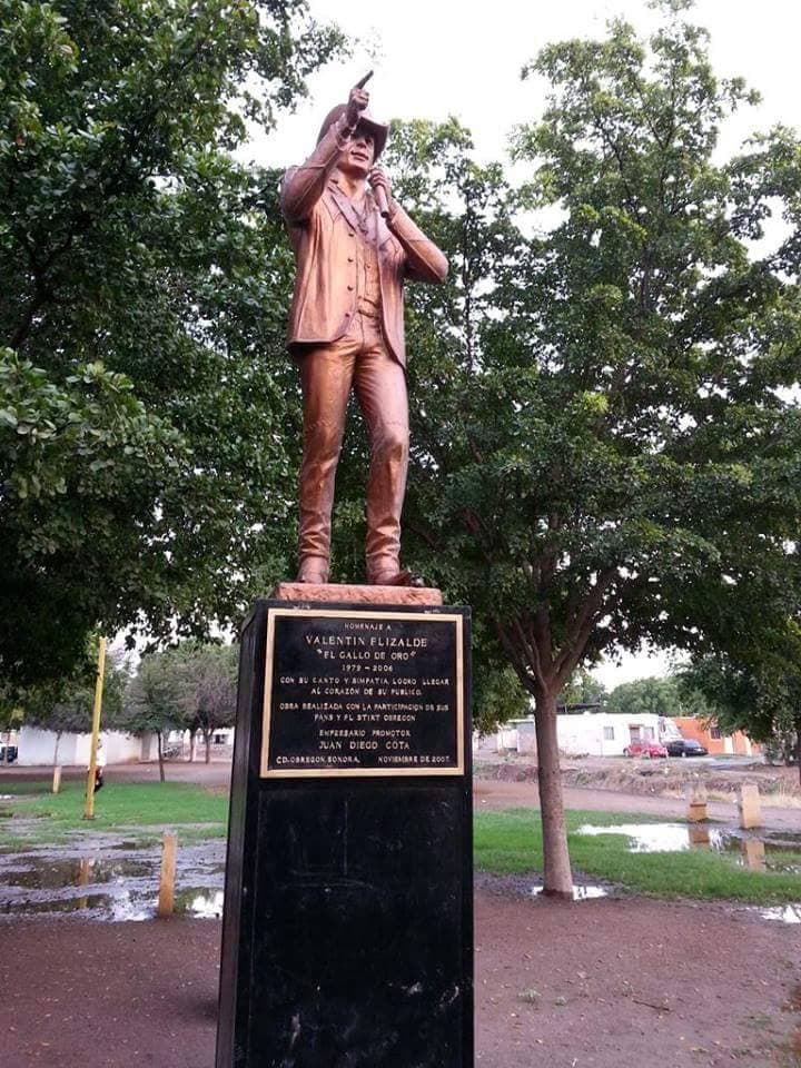 Hasta la foto de la estatua del cantante sonorense, la cual se encuentra en un parque de Ciudad Obregón.