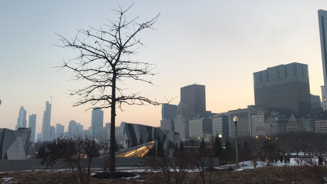 Para 1833 la ciudad de Chicago fue fundada formalmente, con poco menos de 200 habitantes.