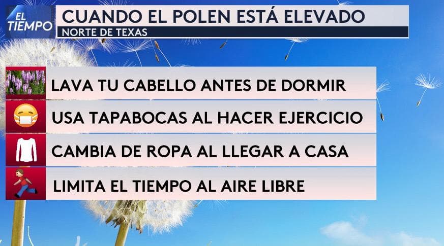Cuando el polen está elevado en el norte de Texas, estos hábitos sí ayudan 🤧🌿