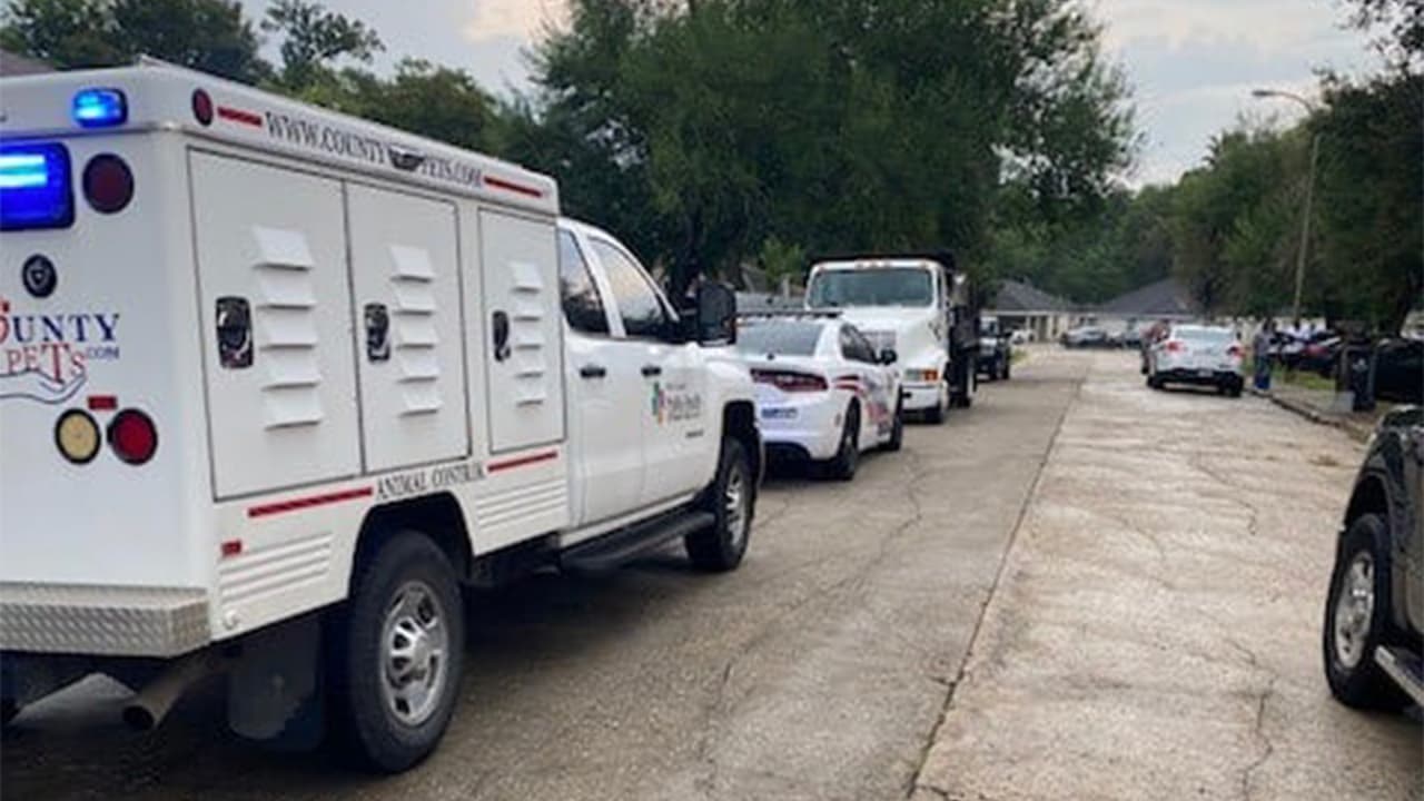 Perro ataca a joven cuando caminaba de la escuela a su casa en Spring, según dicen autoridades