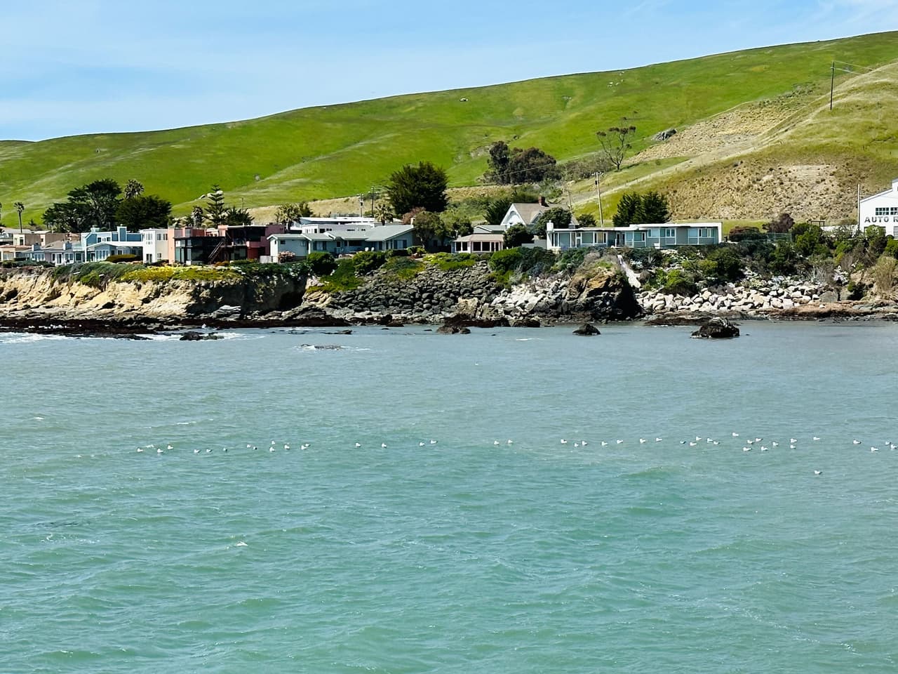 El sendero del paseo marítimo de
<b> Moonstone Beach</b> es una de las principales actividades imperdibles de Cambria. Ofrece vistas panorámicas del agua y oportunidades para observar
<b>aves, vida silvestre y vida marina. </b>
<br>