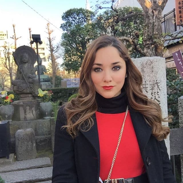 El divorcio de Sherlyn tomó a todos por sorpresa. Con tan sólo dos años de matrimonio, la actriz y Gerardo Islas decidieron tomar caminos diferentes.