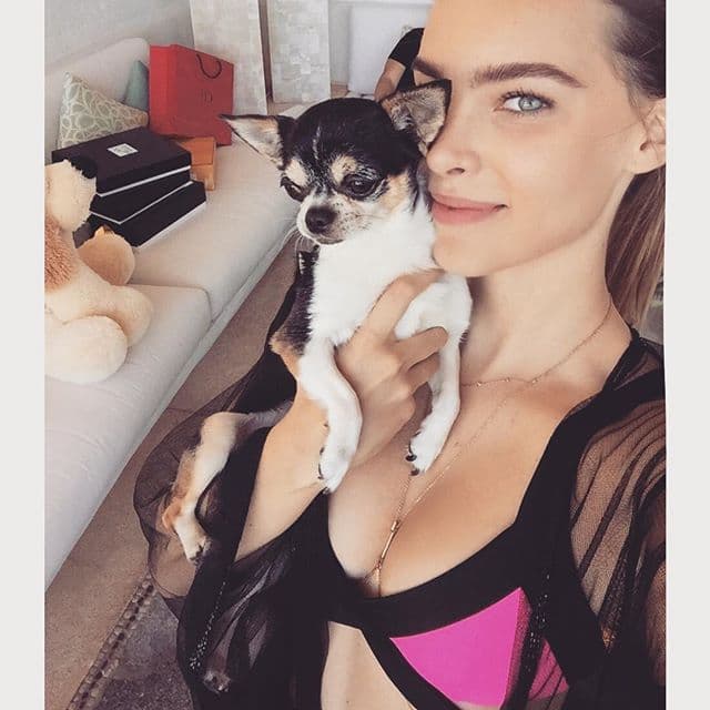La artista es muy entregada y así lo pudimos comprobar recientemente, cuando su mascota más amada, Gizmo, enfermó gravemente.