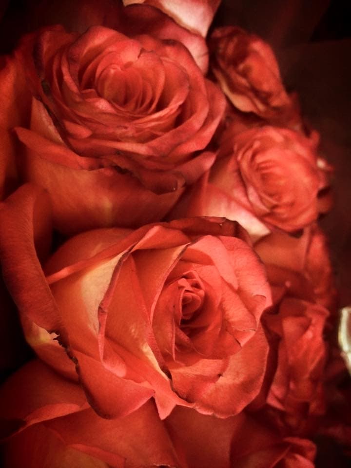 Las rosas de color naranja se identifiquen con
<b>el entusiasmo y la alegría de haber alcanzado con éxito una meta o culminado una etapa</b>.
<br>
<br> Las rosas de color naranja también se asocian al buen estado de ánimo, al agradecimiento, al apoyo y la pasión. En cuanto amor se refiere, las rosas color de naranja se identifican con las relaciones consolidadas.
<br>
<br>
<br>
<br>
<br>