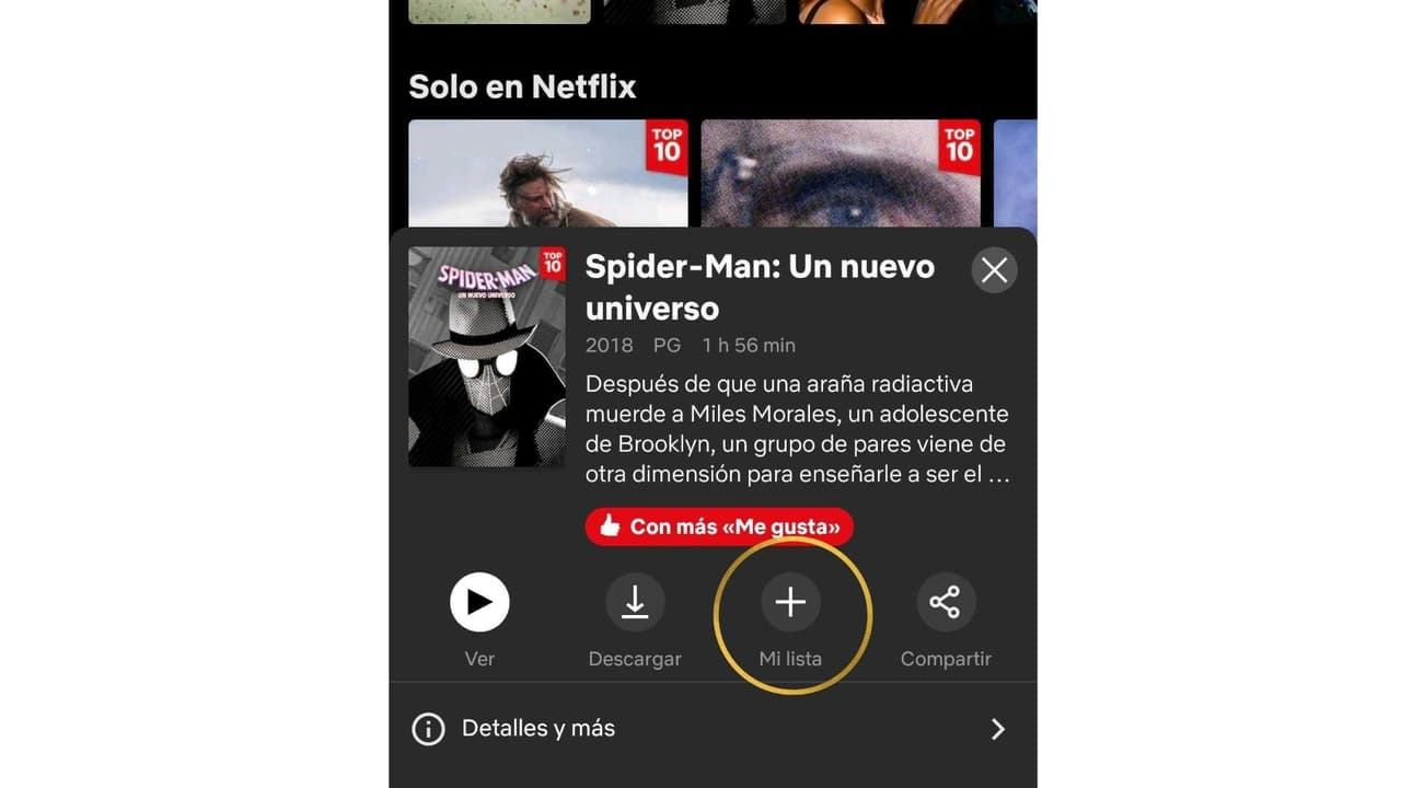 El botón de 'Mi lista' se encuentra en la parte inferior si se abre la aplicación en un celular