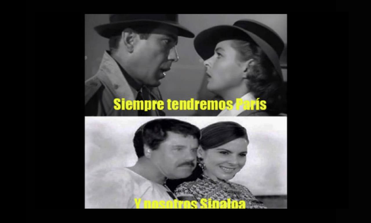 Los mejores memes sobre los mensajes "amistosos" entre Kate del Castillo y 'El Chapo'.