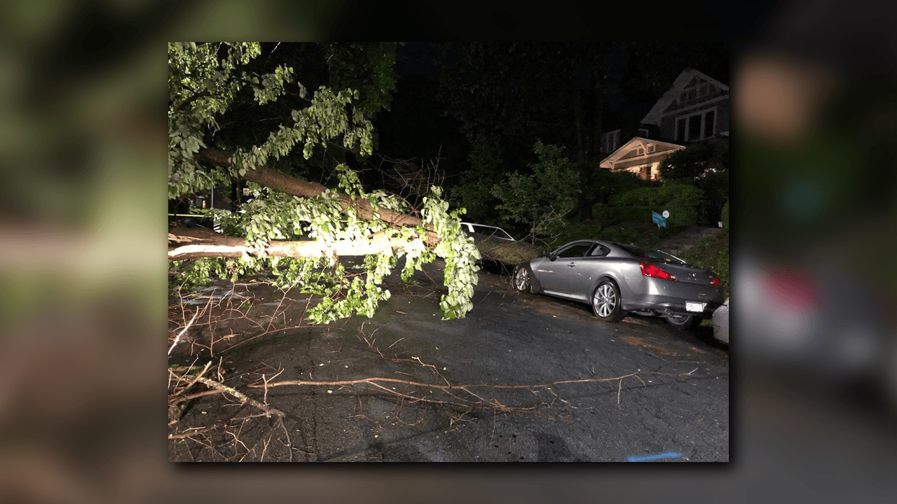 Los fuertes vientos derribaron árboles y tendidos eléctricos.