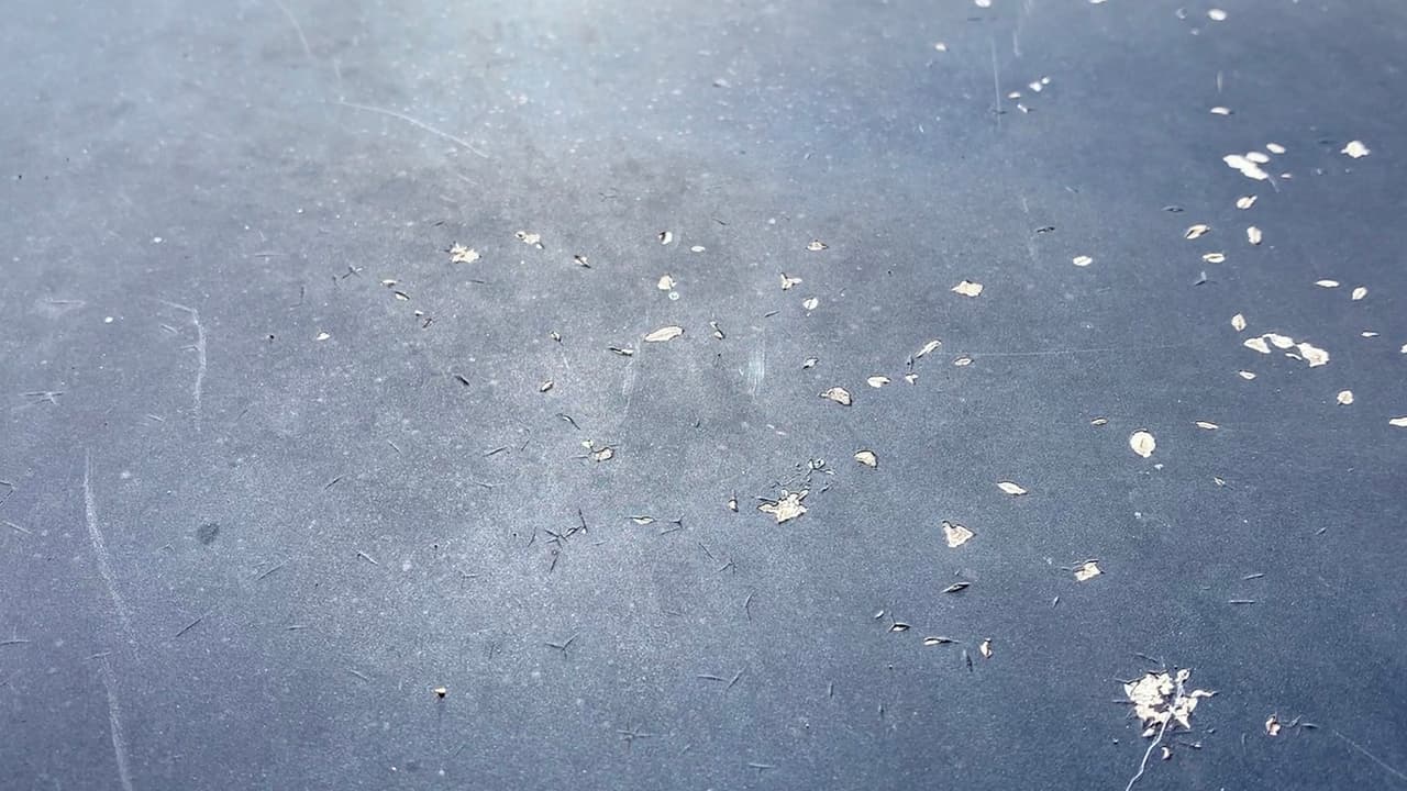 “El sol intenso también daña la pintura de los vehículos por eso se recomienda estacionarlos bajo techo en la medida de nuestras posibilidades”, agregó Alonso Castor.