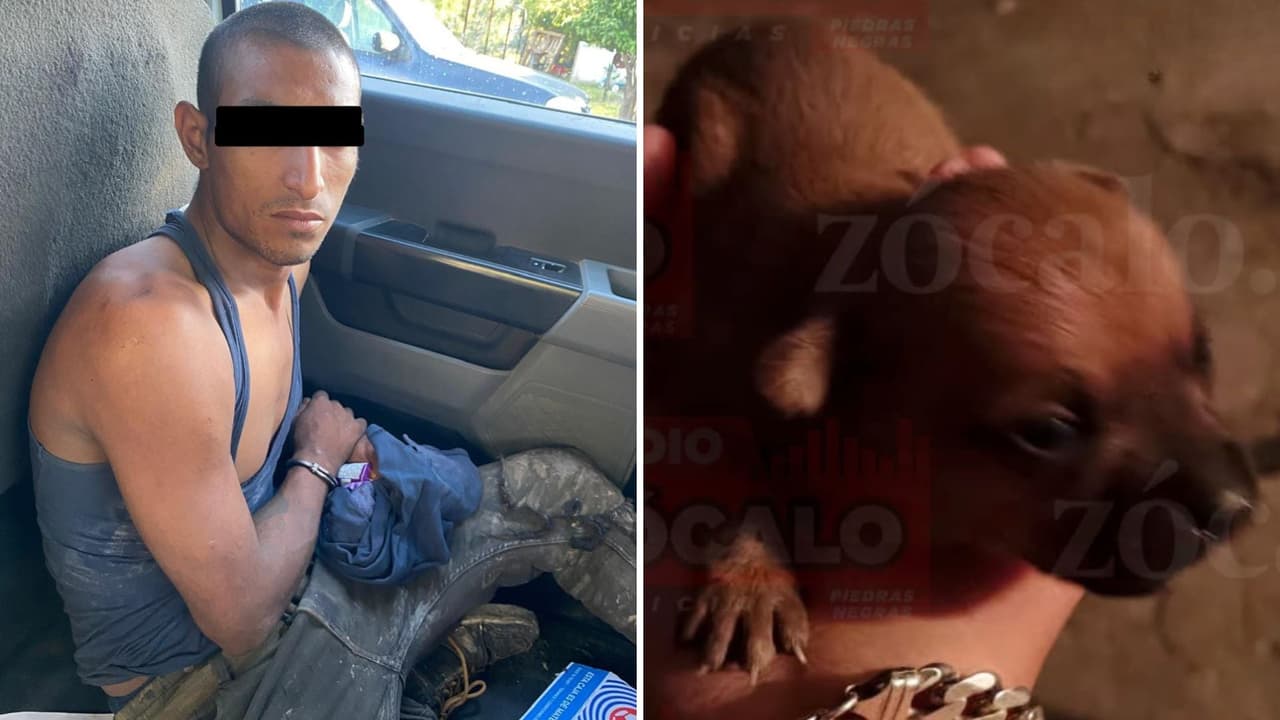 Bajo arresto 'El Pelón' por dar muerte, cocinar y comerse al perro chihuahua de su familia