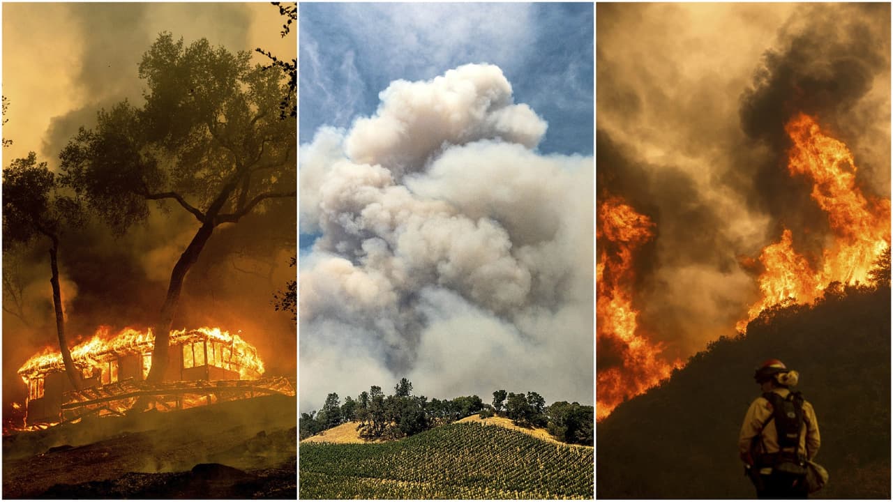 El gobierno federal aportó recursos para enfrentar la emergencia por incendios forestales incontenibles en los meses más calientes del año; con
<b>vientos de Santa Ana</b> esparciéndolos de forma incontrolable.