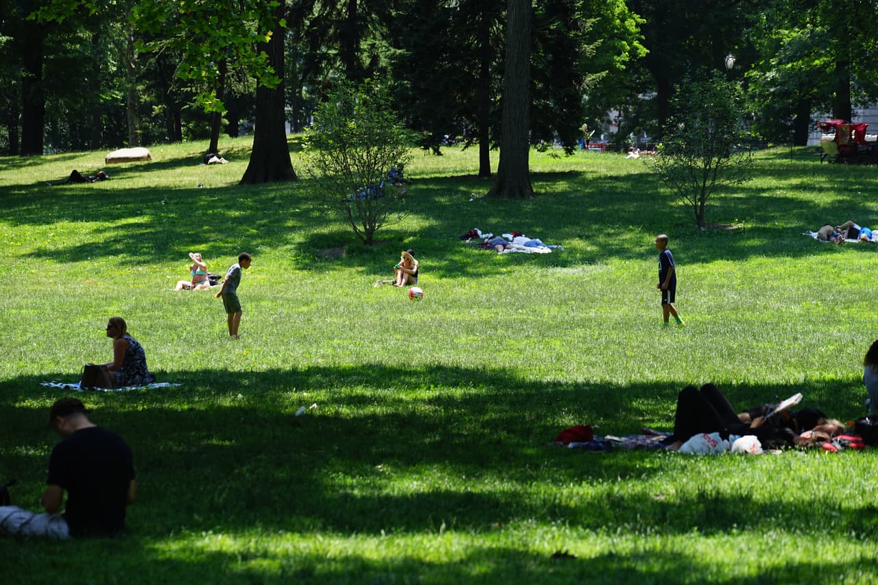 Todo un placer disfrutar la sombra en los parques de la ciudad.